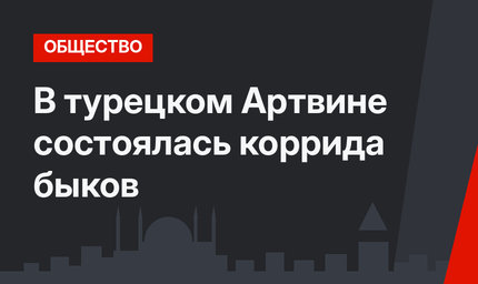 В турецком Артвине состоялась коррида быков