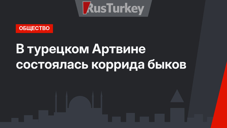 В турецком Артвине состоялась коррида быков