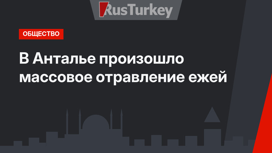 В Анталье произошло массовое отравление ежей