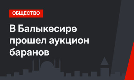 В Балыкесире прошел аукцион баранов
