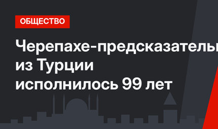 Черепахе-предсказательнице из Турции исполнилось 99 лет