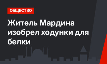 Житель Мардина изобрел ходунки для белки