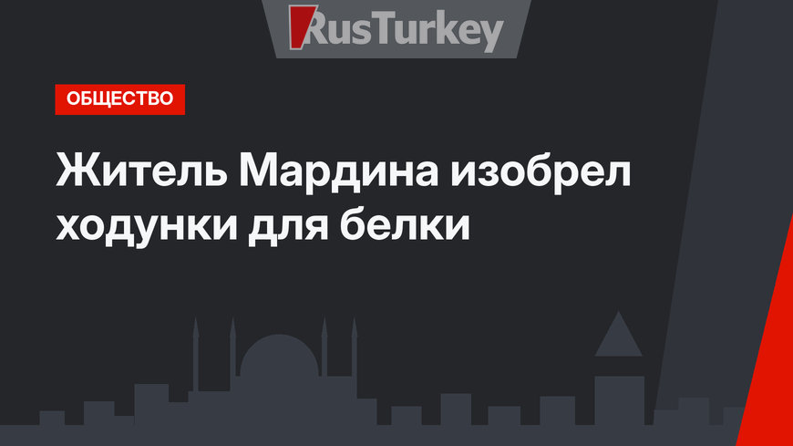 Житель Мардина изобрел ходунки для белки