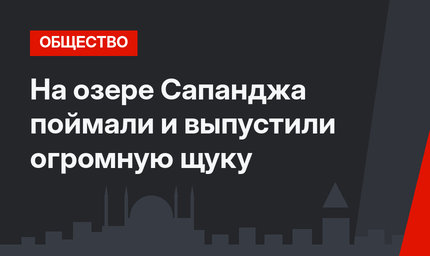 На озере Сапанджа поймали и выпустили огромную щуку