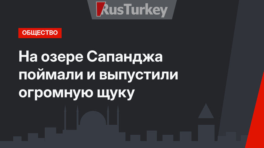На озере Сапанджа поймали и выпустили огромную щуку