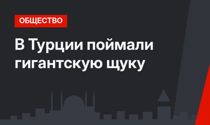 В Турции поймали гигантскую щуку