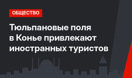 Тюльпановые поля в Конье привлекают иностранных туристов