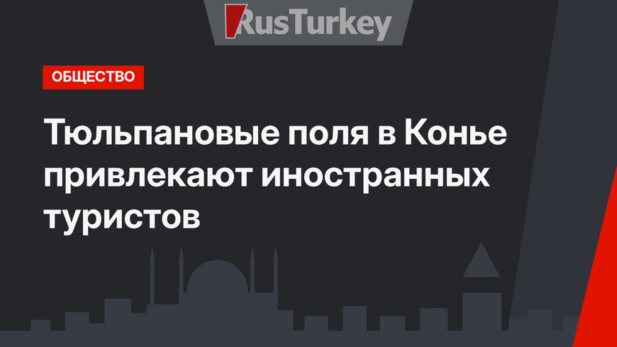 Тюльпановые поля в Конье привлекают иностранных туристов