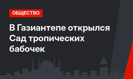 В Газиантепе открылся Сад тропических бабочек