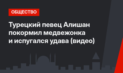 Турецкий певец Алишан покормил медвежонка и испугался удава (видео)