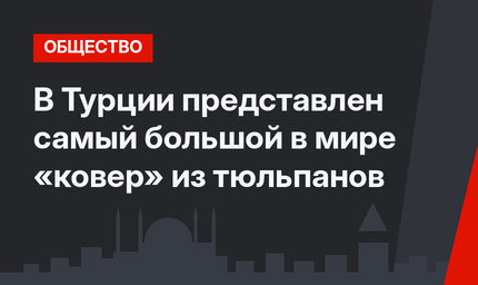 В Турции представлен самый большой в мире «ковер» из тюльпанов
