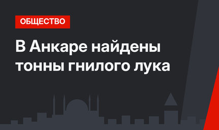 В Анкаре найдены тонны гнилого лука