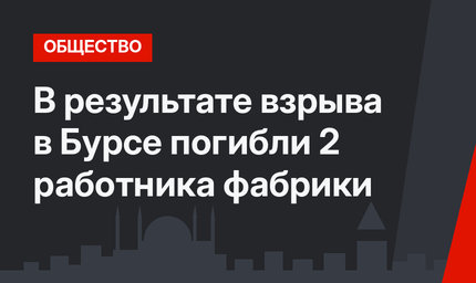 В результате взрыва в Бурсе погибли 2 работника фабрики