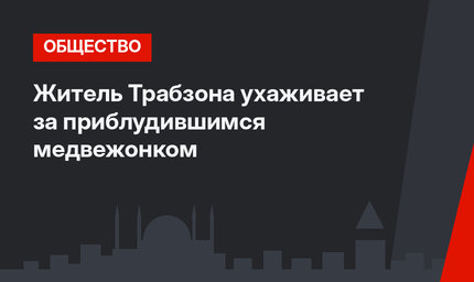 Житель Трабзона ухаживает за приблудившимся медвежонком