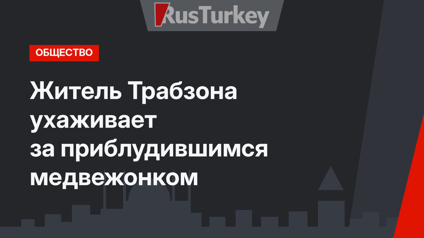 Житель Трабзона ухаживает за приблудившимся медвежонком