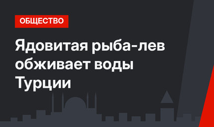 Ядовитая рыба-лев обживает воды Турции