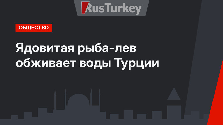 Ядовитая рыба-лев обживает воды Турции