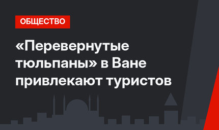 «Перевернутые тюльпаны» в Ване привлекают туристов