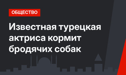 Известная турецкая актриса кормит бродячих собак