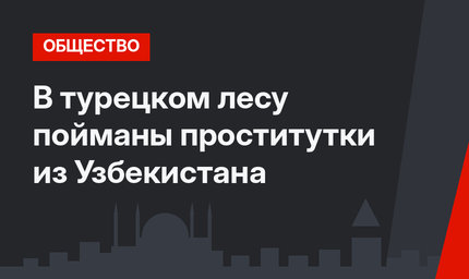 В турецком лесу пойманы проститутки из Узбекистана