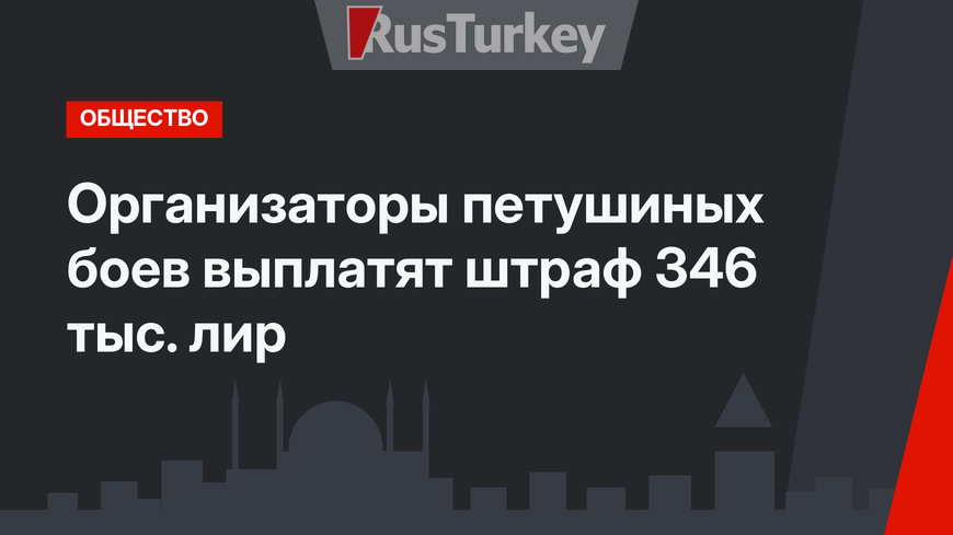 Организаторы петушиных боев выплатят штраф 346 тыс. лир