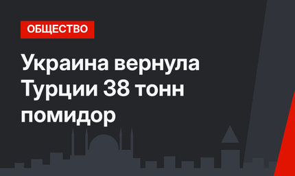 Украина вернула Турции 38 тонн помидор