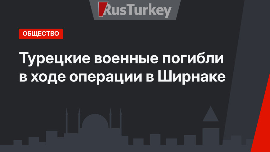 Турецкие военные погибли в ходе операции в Ширнаке