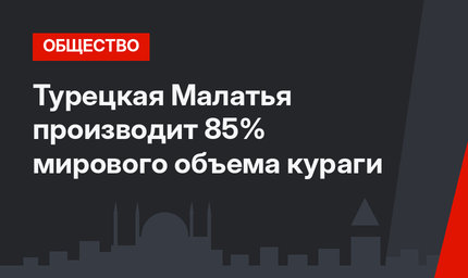 Турецкая Малатья производит 85% мирового объема кураги