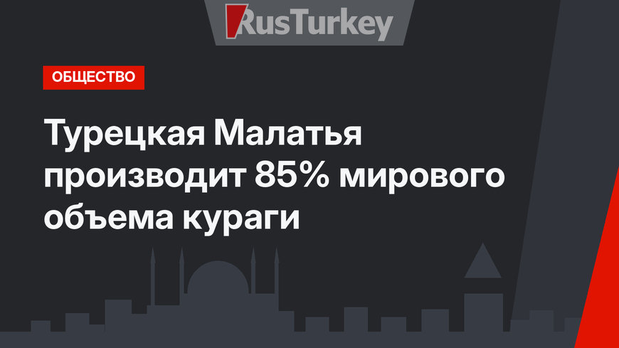 Турецкая Малатья производит 85% мирового объема кураги