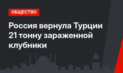 Россия вернула Турции 21 тонну зараженной клубники