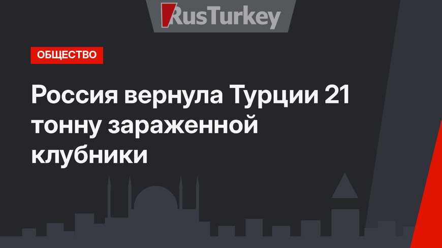 Россия вернула Турции 21 тонну зараженной клубники