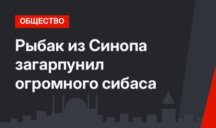 Рыбак из Синопа загарпунил огромного сибаса