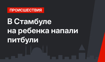 В Стамбуле на ребенка напали питбули