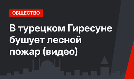 В турецком Гиресуне бушует лесной пожар (видео)