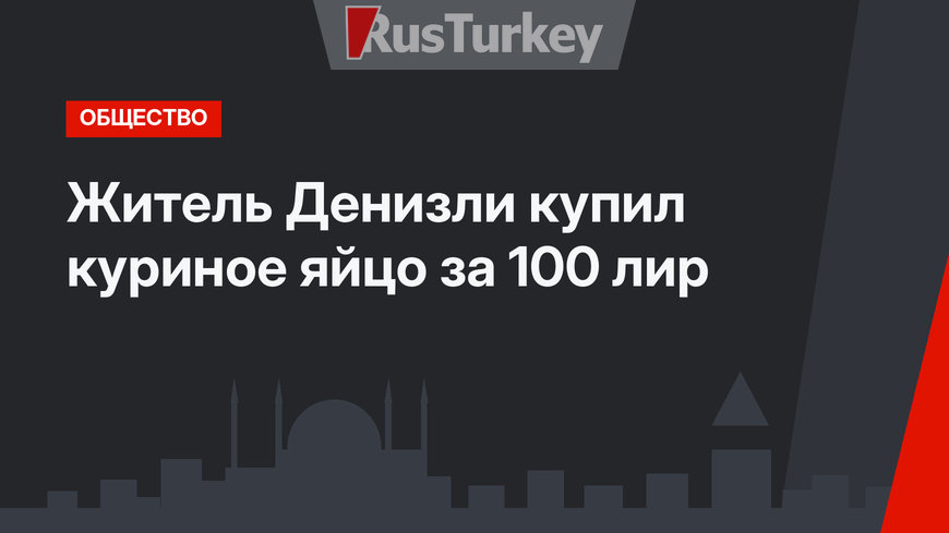 Житель Денизли купил куриное яйцо за 100 лир