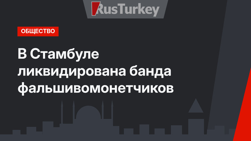 В Стамбуле ликвидирована банда фальшивомонетчиков