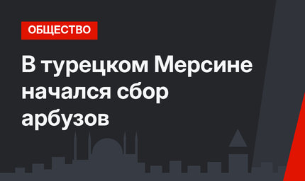 В турецком Мерсине начался сбор арбузов