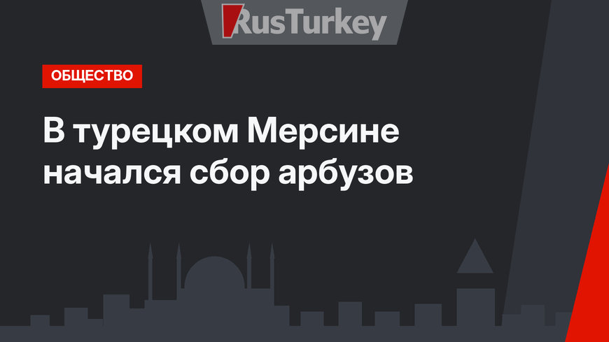 В турецком Мерсине начался сбор арбузов