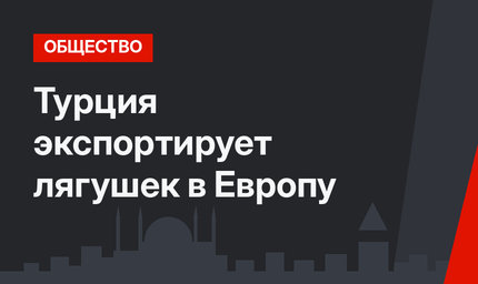 Турция экспортирует лягушек в Европу