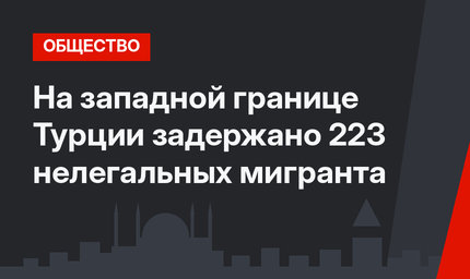 На западной границе Турции задержано 223 нелегальных мигранта