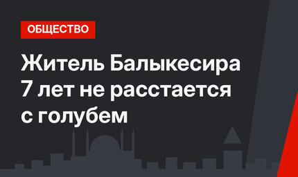 Житель Балыкесира 7 лет не расстается с голубем