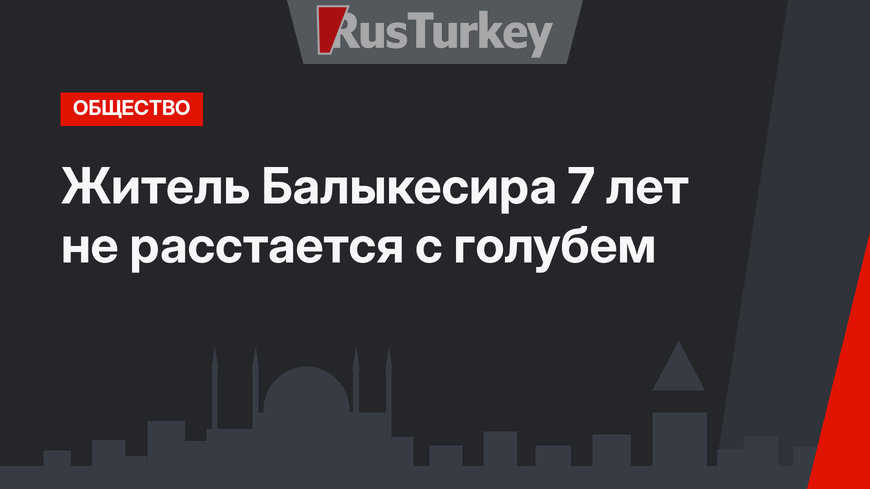 Житель Балыкесира 7 лет не расстается с голубем