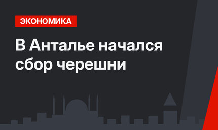 В Анталье начался сбор черешни