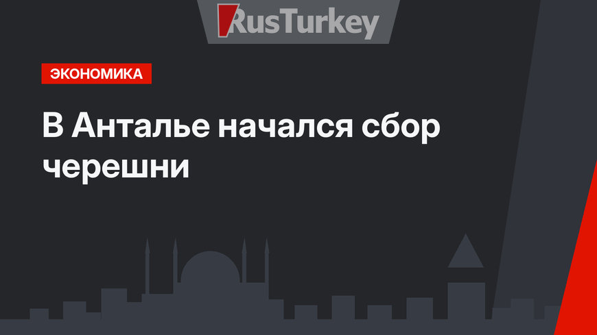В Анталье начался сбор черешни