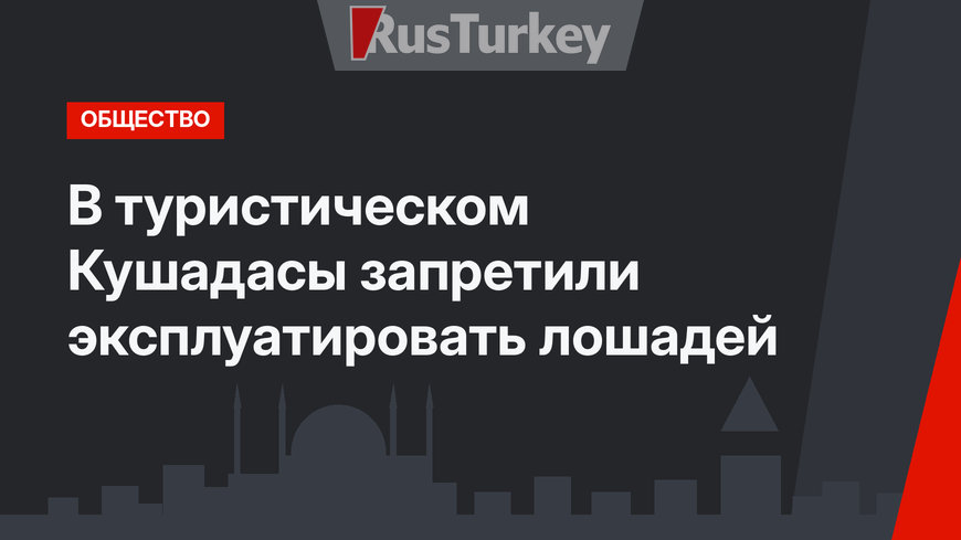 В туристическом Кушадасы запретили эксплуатировать лошадей