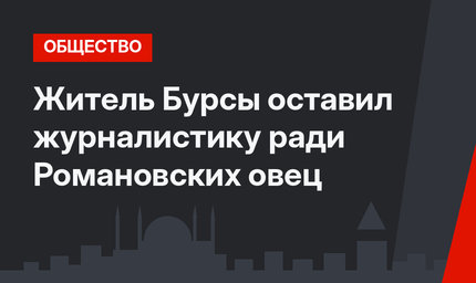 Житель Бурсы оставил журналистику ради Романовских овец