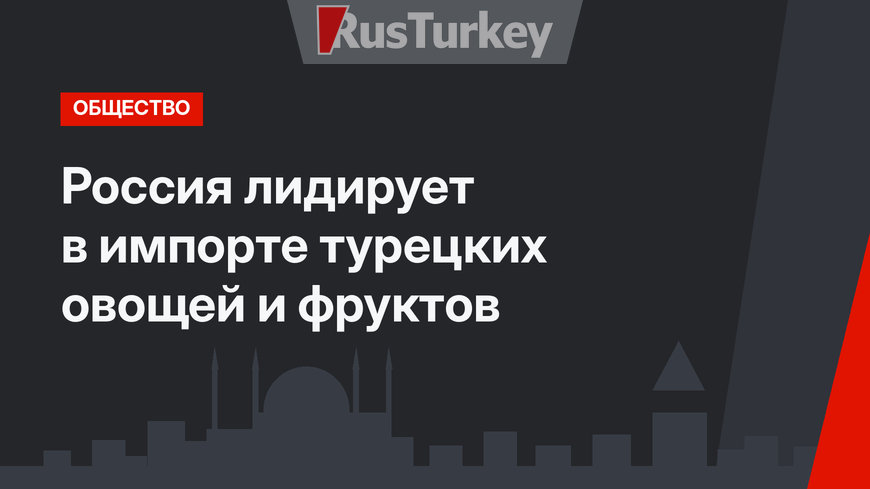 Россия лидирует в импорте турецких овощей и фруктов