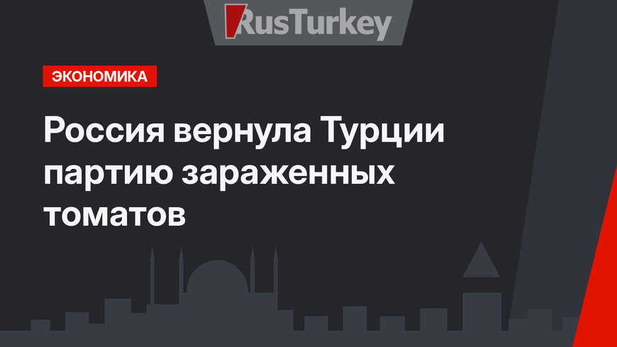 Россия вернула Турции партию зараженных томатов