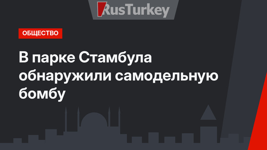 В парке Стамбула обнаружили самодельную бомбу