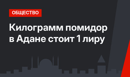 Килограмм помидор в Адане стоит 1 лиру